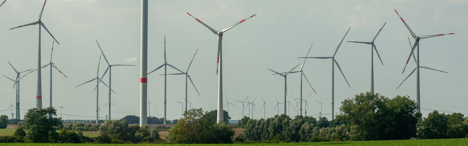 windmills-6626200_1920.jpg