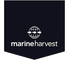 Marine Harvest